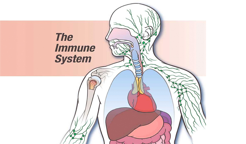 Immune System Suppression and Substance Abuse