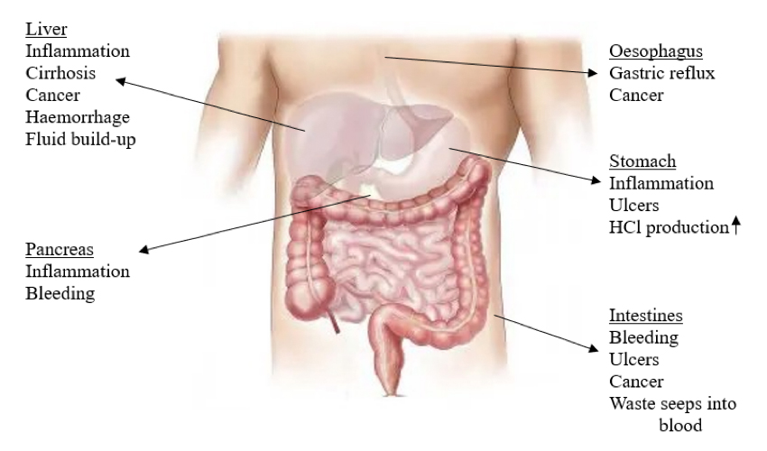 Introducing the Gastrointestinal Consequences of Substance Abuse