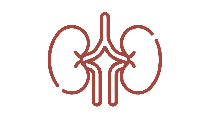 Renal Complications: Substance Abuse and Kidney Health