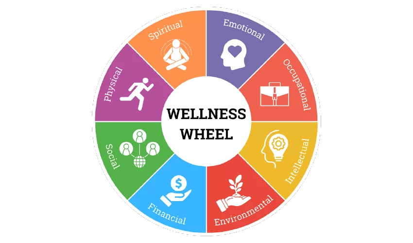 Wellness Wheel