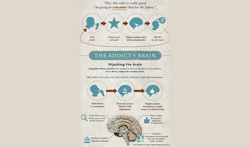 Debunking 6 Myths About Addiction