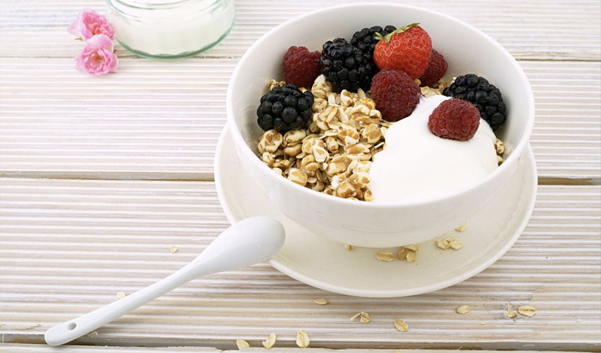 Healthy Snacks-Greek Yogurt