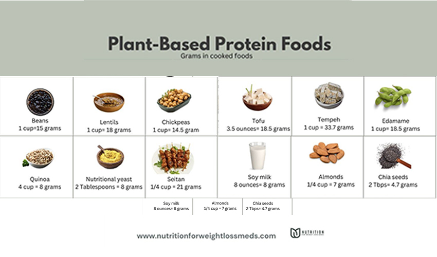 Plant Based Protein Foods