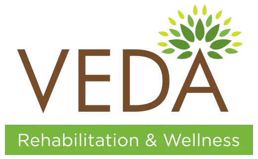 veda logo