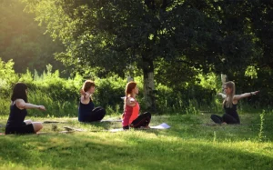 Top 10 Wellness & Meditation Retreats for Post-Rehab Healing